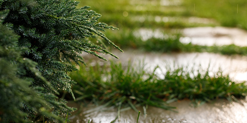 tuin onder water Zonneveld